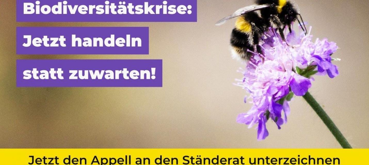 Biodiversitäts Initiative