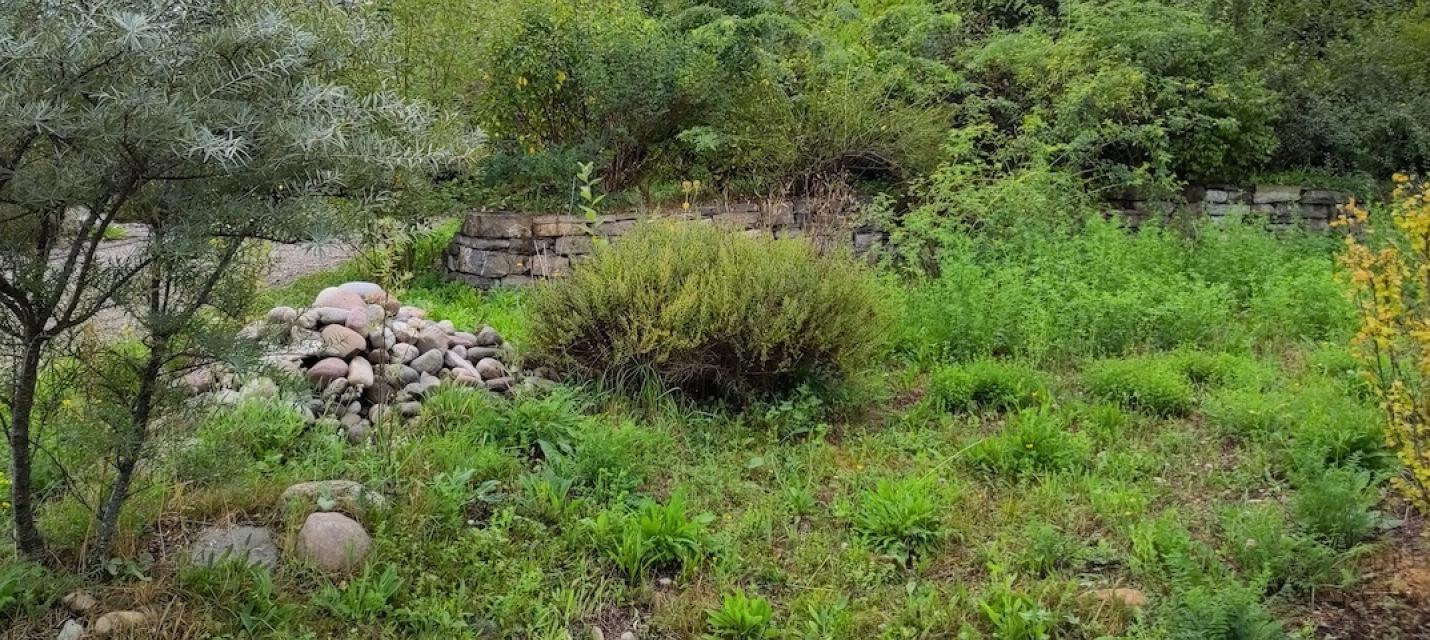 Steinhaufen und Trockenmauer