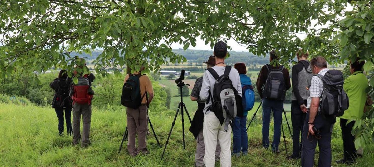 Exkursion Kaiserstuhl